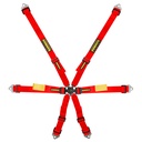 Schroth Enduro Harness