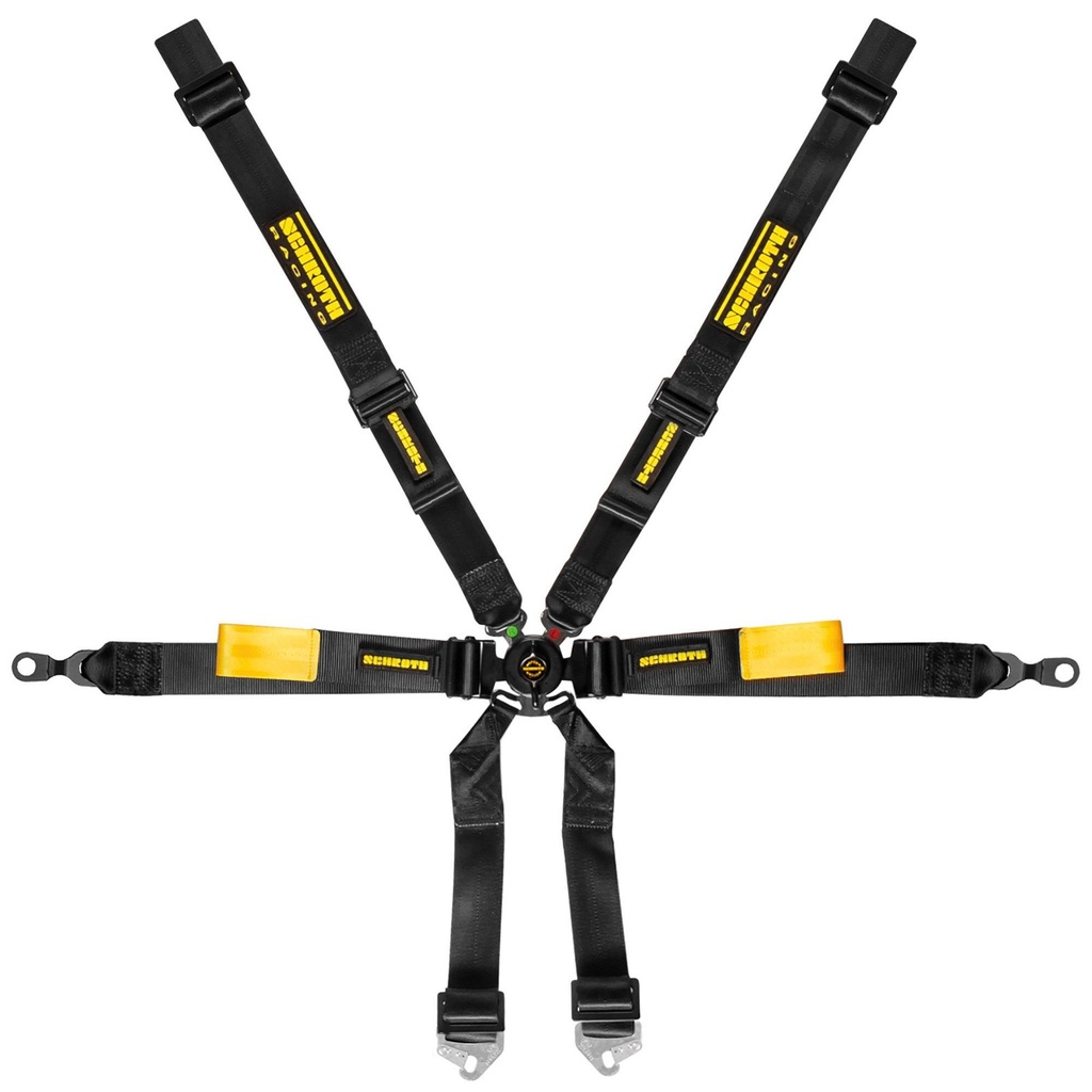 Schroth Enduro Harness