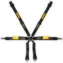 Schroth Enduro Harness