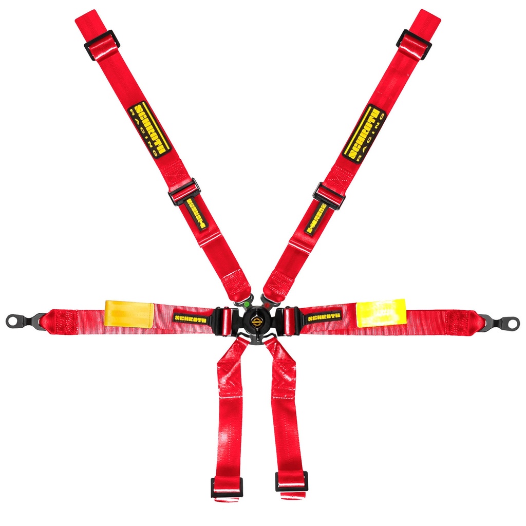 Schroth Enduro Harness