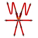 Race Safety Accessories ProLite 6 Point Endurance Harness