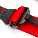 Race Safety Accessories ProLite 6 Point Endurance Harness