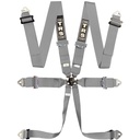 TRS Pro Standard / Superlite / Ultralite 6 Point Saloon Harness