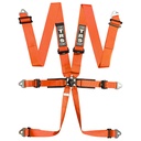 TRS Pro Standard / Superlite / Ultralite 6 Point Saloon Harness