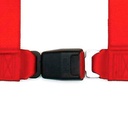 Sabelt 4 Point Clip In Harness