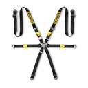 Sabelt Silver Endurance 6 Point Harness