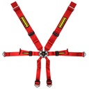 Schroth Porsche 3x2 Harness