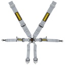 Schroth Porsche 3x2 Harness