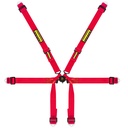 Schroth Formula 2x2 Harness