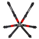 Lifeline Copse 2x2 6 Point Harness