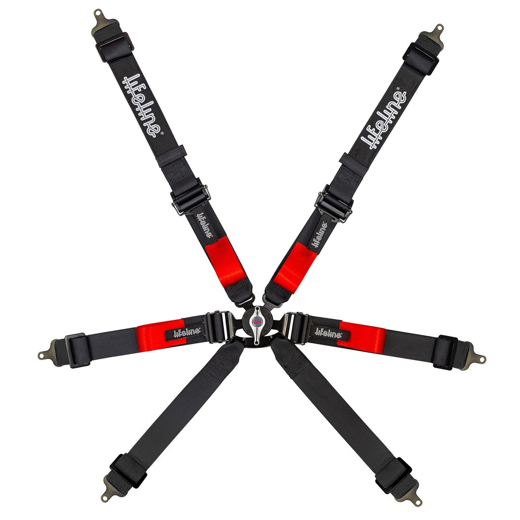 Lifeline Copse 2x2 6 Point Harness