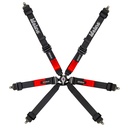 Lifeline Copse 2x2 6 Point Harness