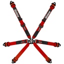 Lifeline Copse 2x2 6 Point Harness