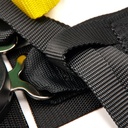 Race Safety Accessories Pro 6 Point Single Seater Harness