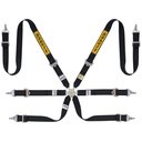 Sabelt Silver Saloon / Rally 6 Point Harness