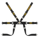 Sabelt Steel Formula Mid 6 Point Harness