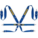 Sabelt Steel Rally 3x2 6 Point Harness