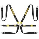 Sabelt Silver Endurance 6 Point Harness