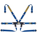 Sabelt Silver Formula 6 Point Harness