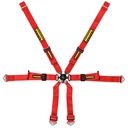 Schroth Porsche 2x2 Harness
