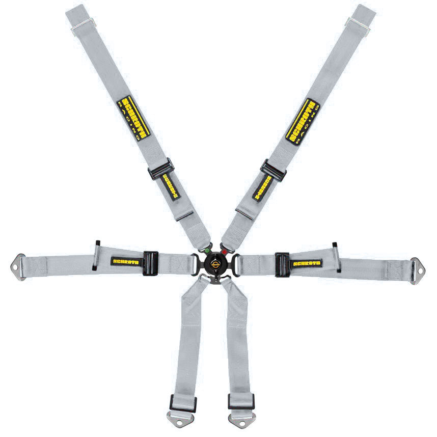 Schroth Porsche 2x2 Harness
