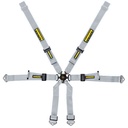 Schroth Porsche 2x2 Harness