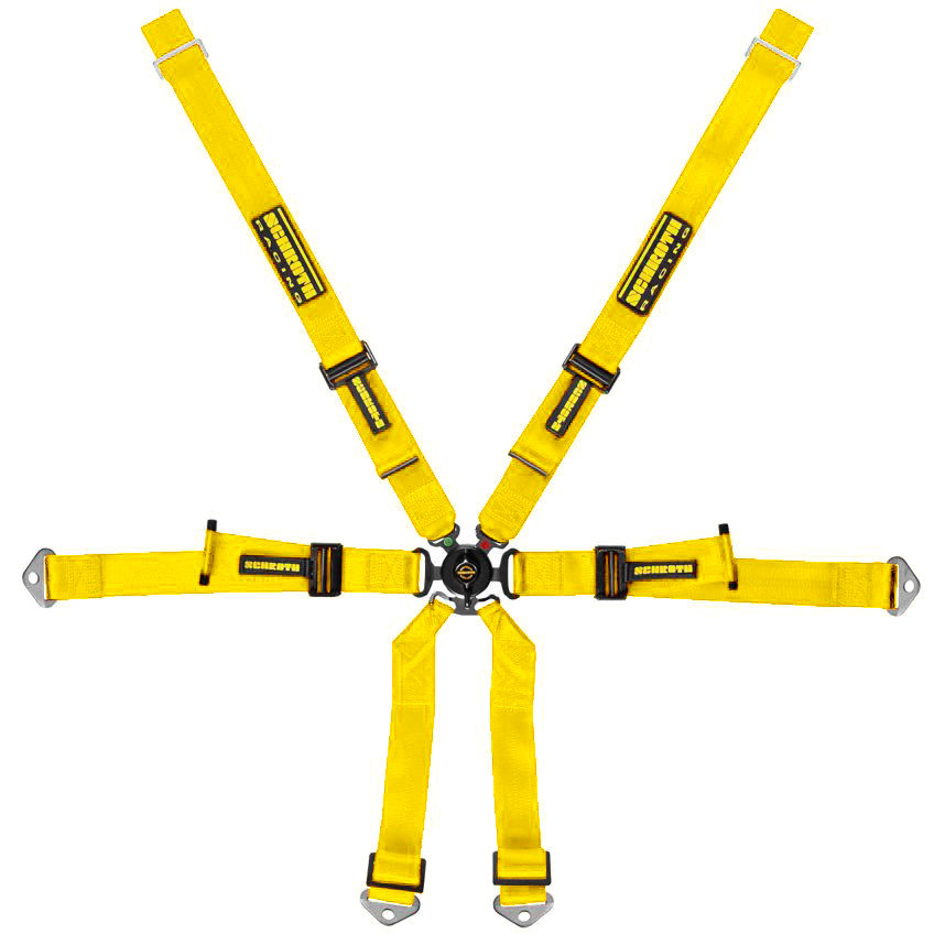 Schroth Porsche 2x2 Harness