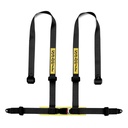 Sabelt 4 Point Bolt In Harness