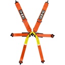 TRS Pro Standard / Superlite 6 Point Single Seater