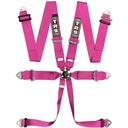 TRS Magnum Standard / Superlite / Ultralite 6 Point Saloon Harness