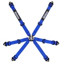 Lifeline Becketts 2x2 6 Point Harness