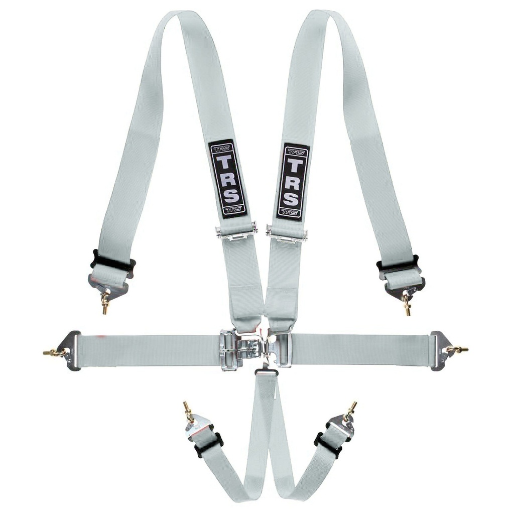 TRS Nascar Standard / Superlite 6 Point Harness