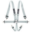 TRS Nascar Standard / Superlite 6 Point Harness