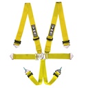 TRS Nascar Standard / Superlite 6 Point Harness