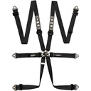 TRS Pro 6 Point Ultralite HANS / FHR Harness