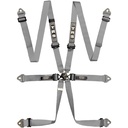TRS Pro 6 Point Ultralite HANS / FHR Harness