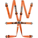 TRS Pro 6 Point Ultralite HANS / FHR Harness