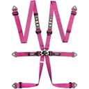 TRS Pro 6 Point Ultralite HANS / FHR Harness