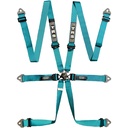 TRS Pro 6 Point Ultralite HANS / FHR Harness