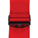 Schroth Lotus Elise Exige II-FE ASM Harness