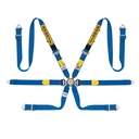 Sabelt Silver LPM 6 Point Harness