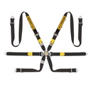 Sabelt Silver LPM 6 Point Harness