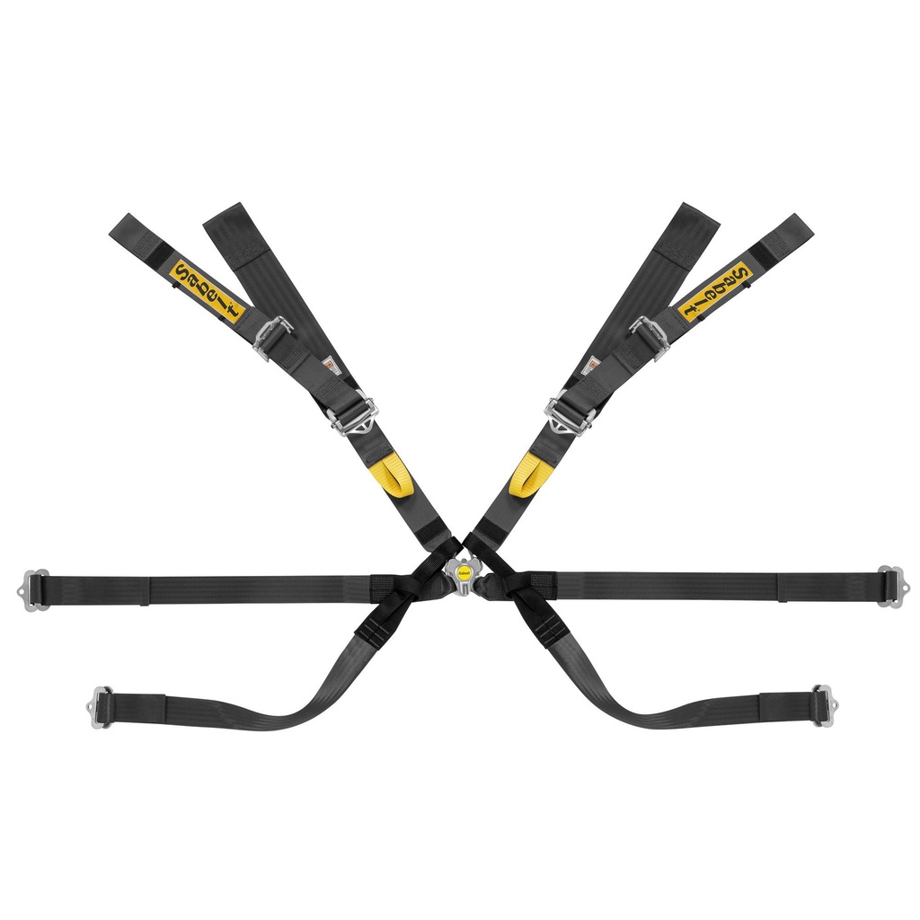 Sabelt Gold Super Formula 8 Point Harness