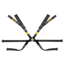 Sabelt Gold Super Formula 8 Point Harness
