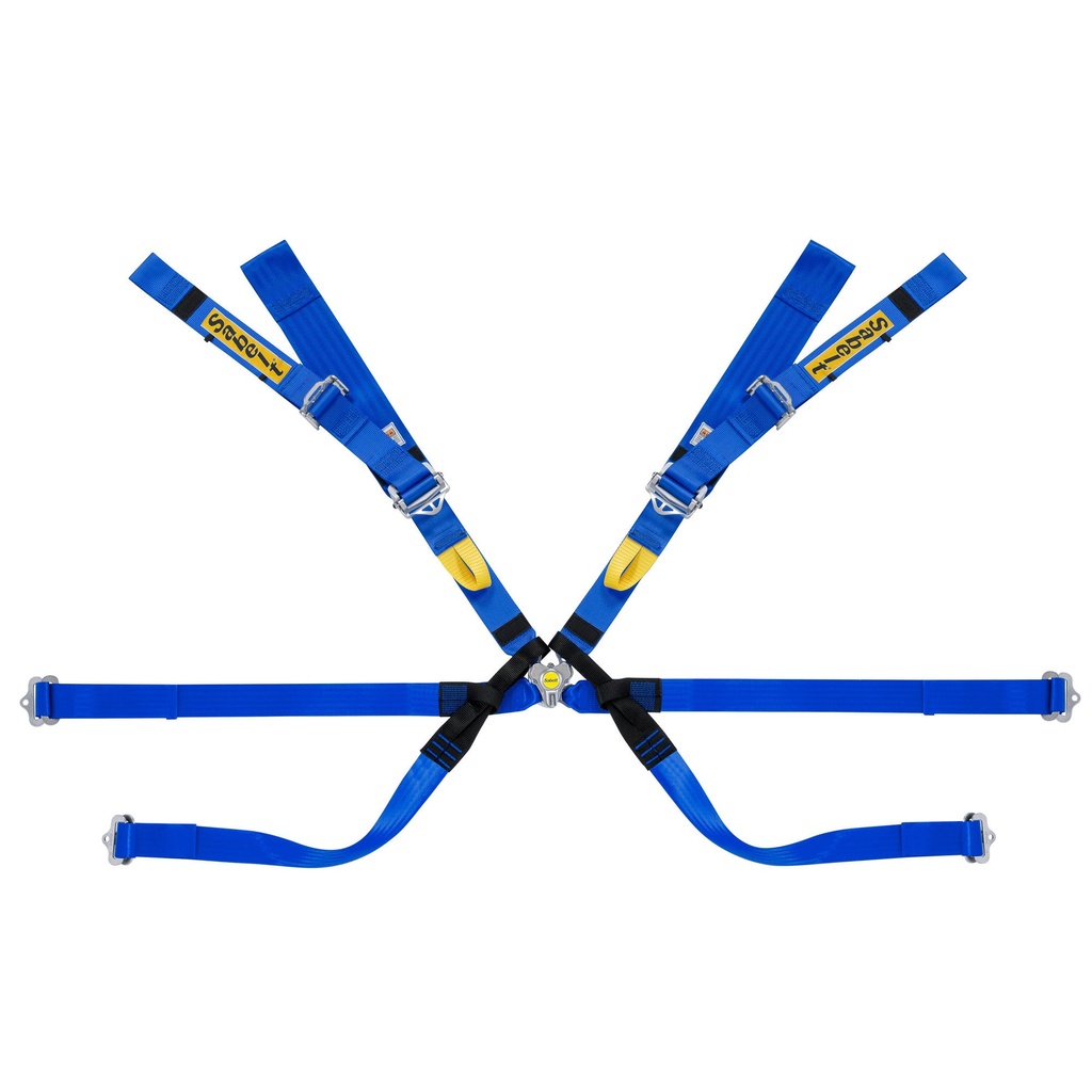 Sabelt Gold Super Formula 8 Point Harness