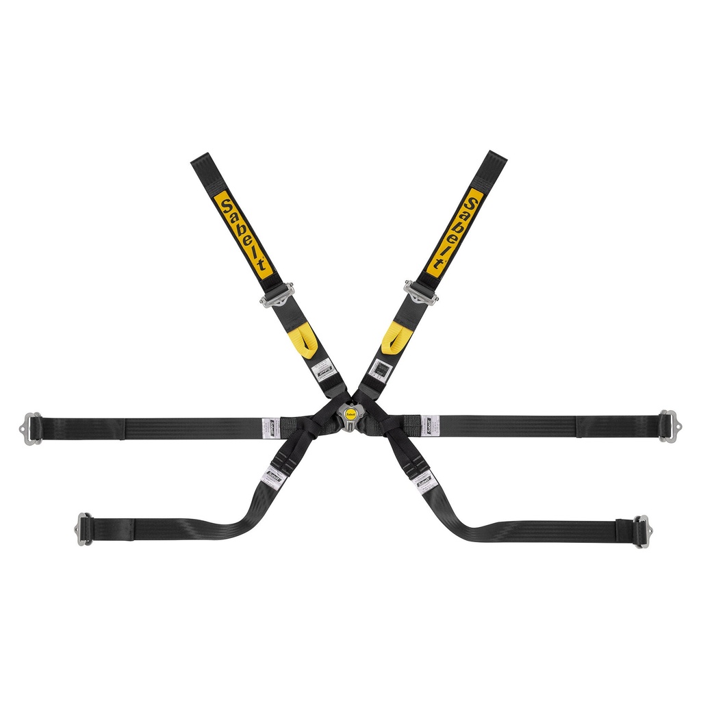 Sabelt Gold Super Formula 6 Point Harness