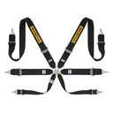 Sabelt Silver Race / Rally 3x3 6 Point Harness