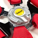 Sabelt Porsche 991 / 981 GT4 6 Point GT Harness