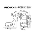 Recaro Pro Racer SPG Fibreglass Seat