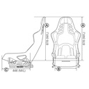 Recaro Podium GF Fibreglass Seat